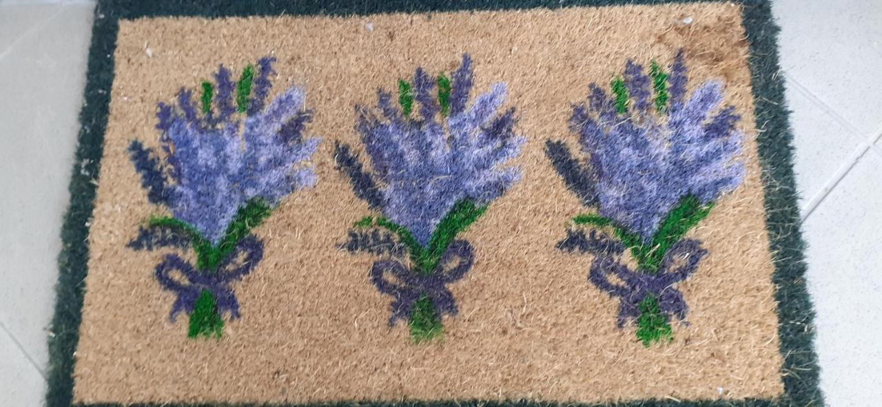 Lavender Apartment Heviz Luaran gambar